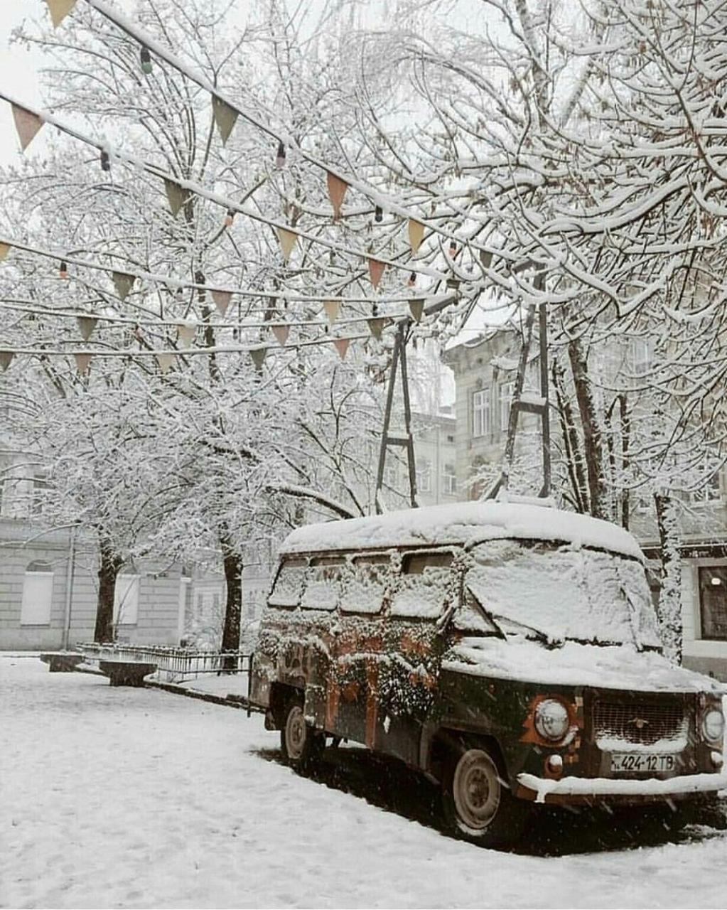 Green Apartment Lviv Extérieur photo